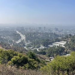 Jerome C. Daniel Overlook above the Hollywood Bowl