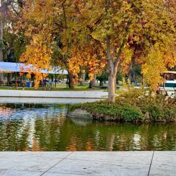 Mooney Grove Park - Fall colors 2024