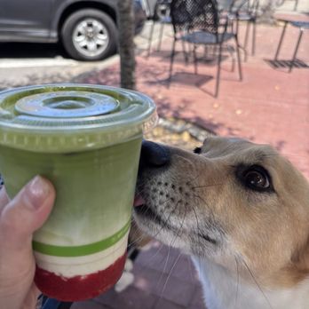 Bookworks - Strawberry fields matcha latte - Bookstores Near Me - Pacific Grove, California Bookworks - Strawberry fields matcha latte - Bookstores Near Me - Pacific Grove, California
