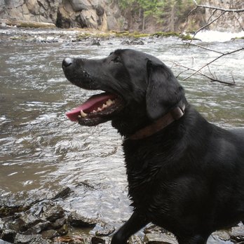 Benham Falls - Hiking Near Me