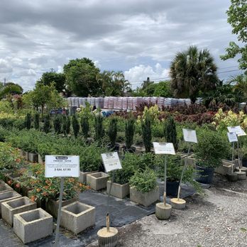 Nu Turf of Pompano Beach - Nurseries & Gardening Near Me - Pompano Beach, Florida