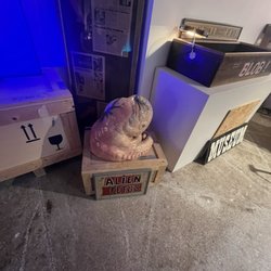Clayton Bailey's World of Wonders Museum