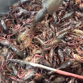 H Mart - Niles - Crawfish!!! - Grocery Near Me - Niles, Illinois H Mart - Niles - Crawfish!!! - Grocery Near Me - Niles, Illinois