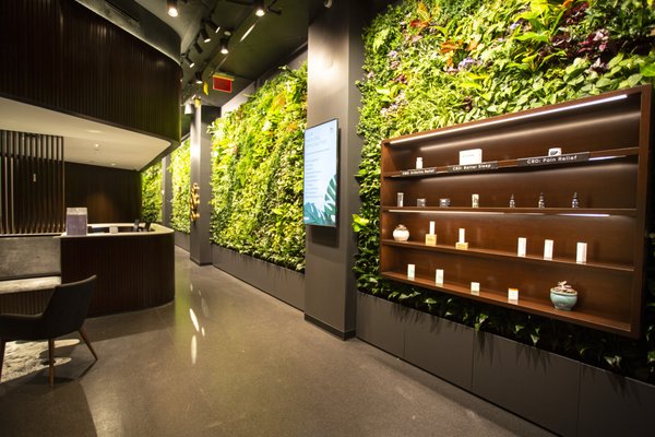 Extension Health by null