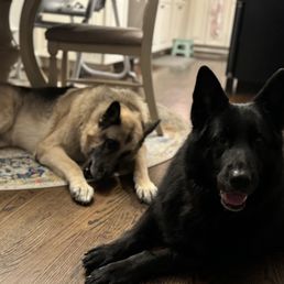 Hancock and Zeena