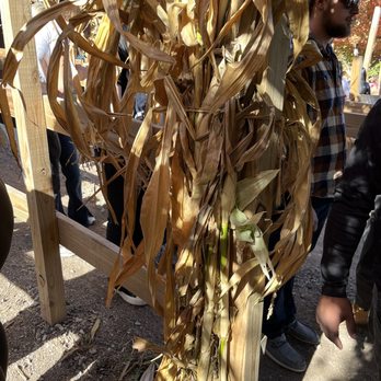 Vala's Pumpkin Patch - Venues & Event Spaces Near Me - Gretna, Nebraska