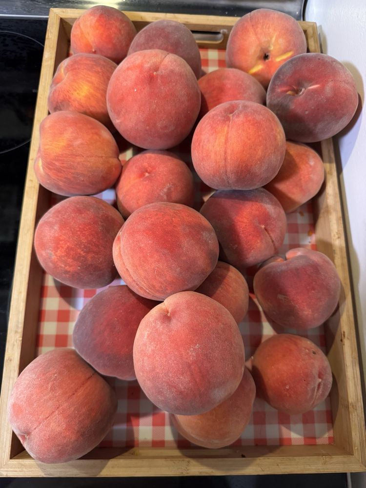 Jamison's Orchards Farm Market Logo