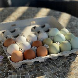 Farmer's Market Saturdays - Eggs