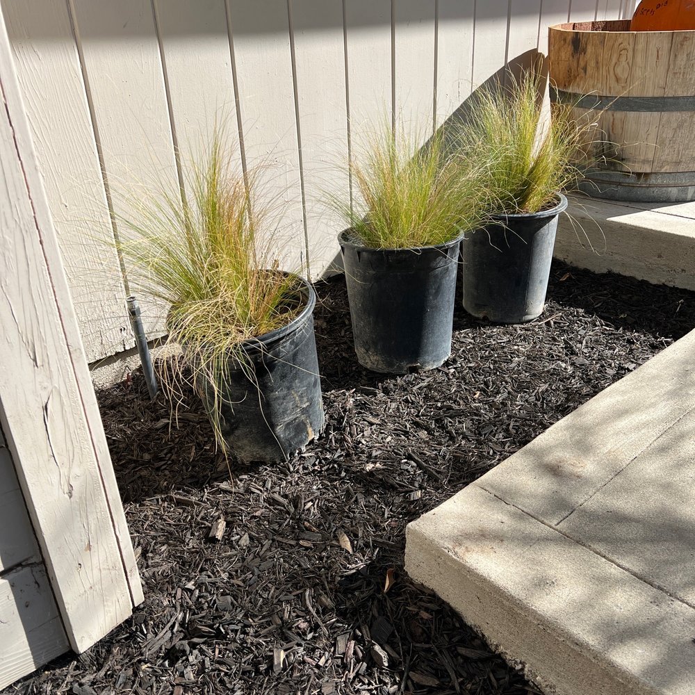 Budget Plants - Nurseries & Gardening Near Me - Arcadia, California