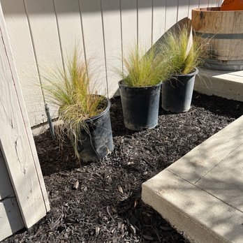 Budget Plants - Nurseries & Gardening Near Me - Arcadia, California Budget Plants - Nurseries & Gardening Near Me - Arcadia, California