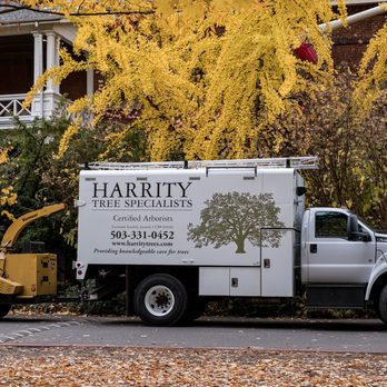 Harrity Tree Specialists - Tree Services Near Me - Portland, Oregon Harrity Tree Specialists - Tree Services Near Me - Portland, Oregon