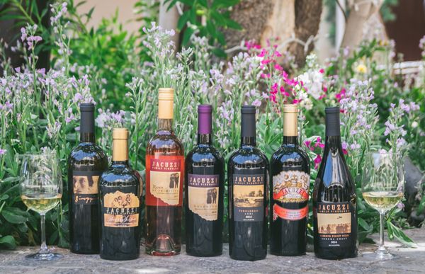 Jacuzzi Family Vineyards by null