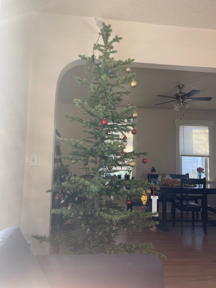 JD RANCH TREE FARM Updated July 2024 9420 E Green Bluff Rd, Colbert