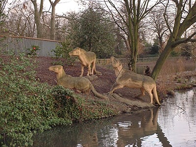 Crystal Palace Dinosaurs by null