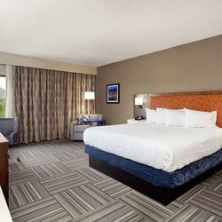 Hampton Inn Kingsport - Guest room