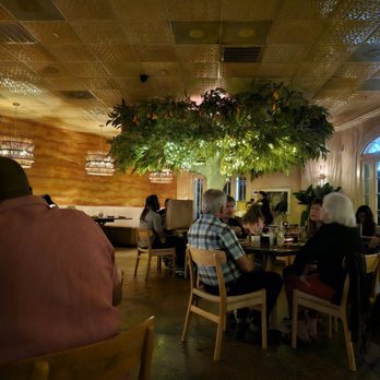 Spicy Mango - Mango tree inside - Caribbean Near Me - New Orleans, Louisiana Spicy Mango - Mango tree inside - Caribbean Near Me - New Orleans, Louisiana