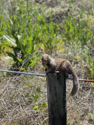 MOONSTONE BEACH - 1010 Photos & 228 Reviews - Moonstone Beach Dr
