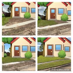 Houston Grass