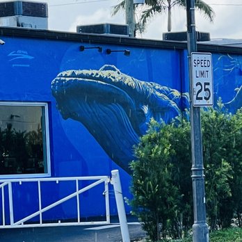 Studio City - Local Flavor Near Me - Oakland Park, Florida Studio City - Local Flavor Near Me - Oakland Park, Florida