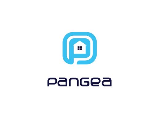 Pangea Construction