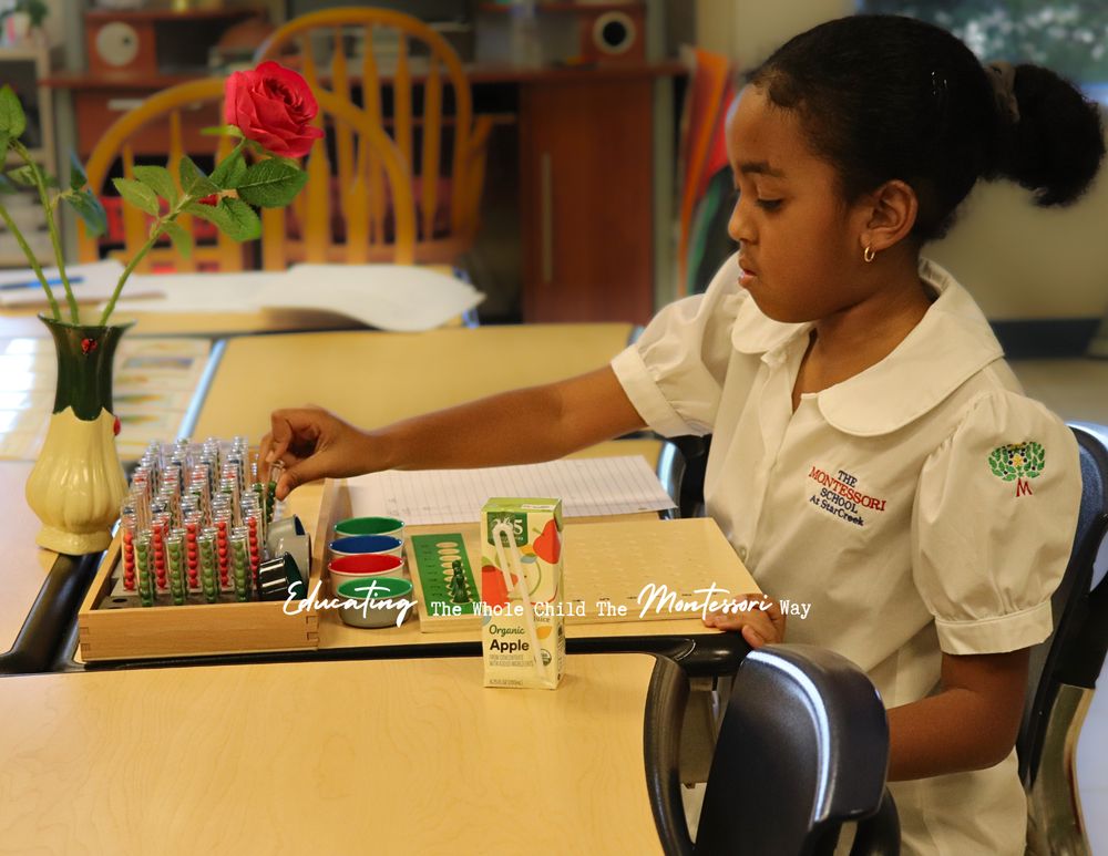 The Montessori School at Starcreek - childcare center in Allen, TX