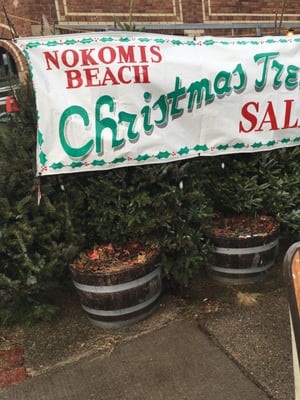 Nokomis Beach Coffee by null