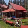 Timberline Tours
