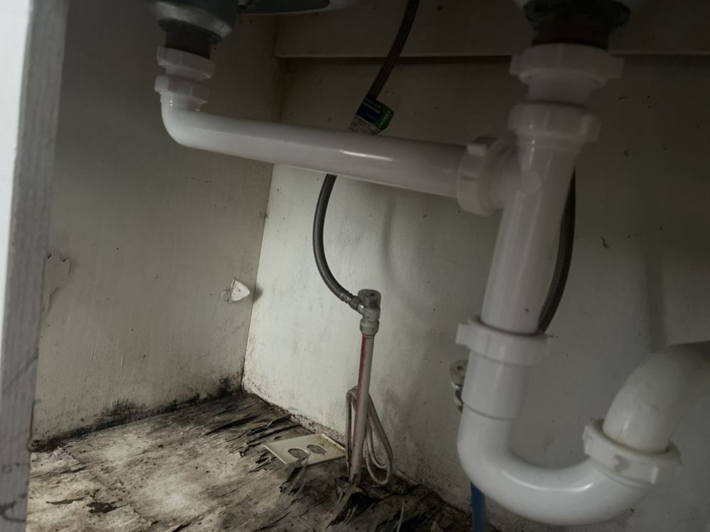 Slide of Lee The Plumber