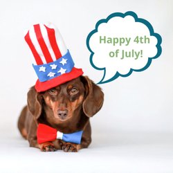 Gurrs & Purrs - Happy 4th of July!!.png