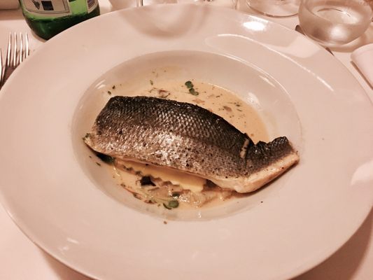 Bien Soigné by null