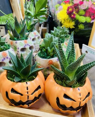 Sprouts Farmers Market by null