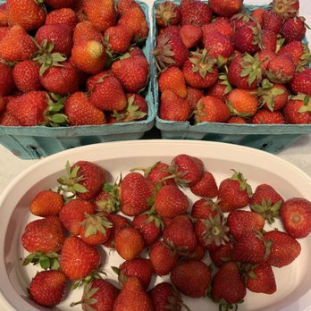 Greig Farm - Sweet delicious strawberries - Farmers Market Near Me - Red Hook, New York Greig Farm - Sweet delicious strawberries - Farmers Market Near Me - Red Hook, New York