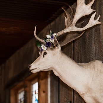 The Barn at Evergreen Memorial Park - Venues & Event Spaces Near Me - Evergreen, Colorado The Barn at Evergreen Memorial Park - Venues & Event Spaces Near Me - Evergreen, Colorado