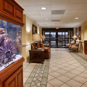 Best Western Plus Madison Inn - Hotel Lobby - Hotels Near Me - Madison, Florida Best Western Plus Madison Inn - Hotel Lobby - Hotels Near Me - Madison, Florida