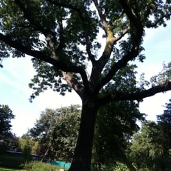 Weidenpescher Park