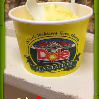 Dole Pineapple Garden Maze - Yummy - Botanical Gardens Near Me - Wahiawa, Hawaii Dole Pineapple Garden Maze - Yummy - Botanical Gardens Near Me - Wahiawa, Hawaii