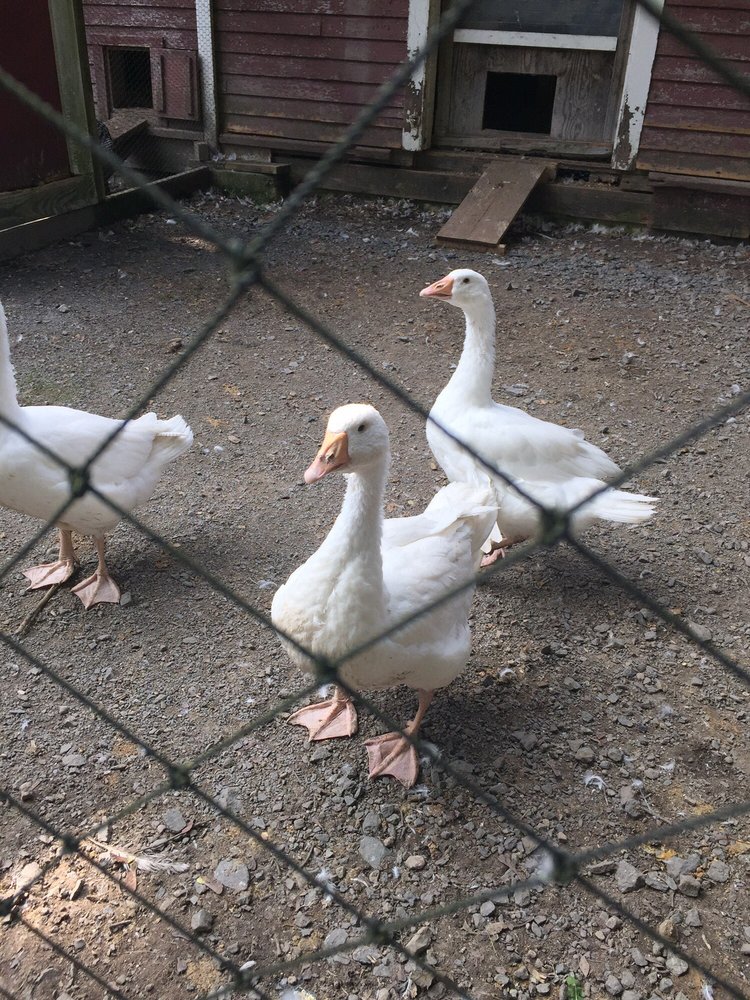 Natural Resources Trust of Easton - social services organization in North Easton, MA