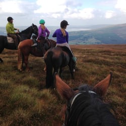 Hollywood Horse and Pony Trekking - Horse riding over mountains