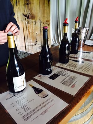 Canihan Wines by null
