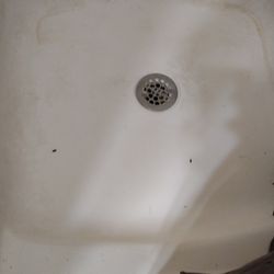 Driftwood Motel - Dirty shower with dead roaches in it