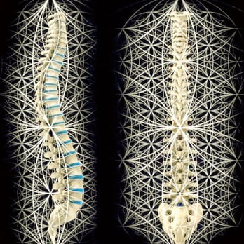 Inspire Chiropractic - Chiropractors Near Me - Seattle, Washington Inspire Chiropractic - Chiropractors Near Me - Seattle, Washington