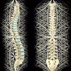 Inspire Chiropractic