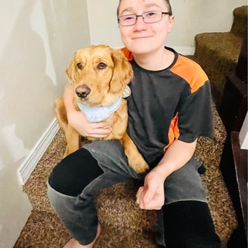 Save the Mailmen Dog Training - Pet Training Near Me Save the Mailmen Dog Training - Pet Training Near Me