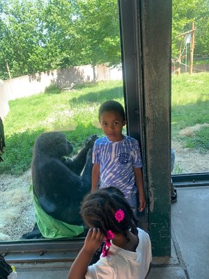 Class Trip to the Safari - This was a splendid trip that all of the children enjoyed during our safari adventure at the zoo. They were able to have a chance to discover and learn about different animals along the way.