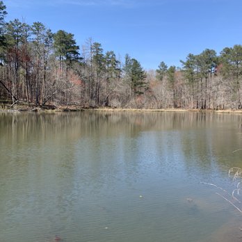 Arabia Mountain Trail - Climbing Near Me - Lithonia, Georgia