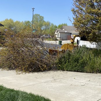 Valley Tree Solutions - Tree Services Near Me Valley Tree Solutions - Tree Services Near Me