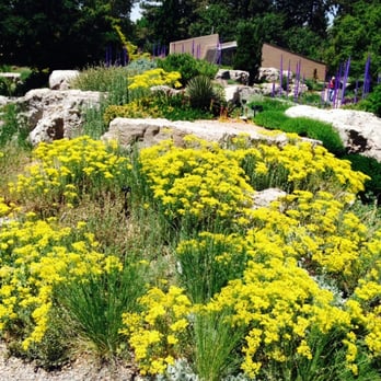 Denver Botanic Gardens - Botanical Gardens Near Me - Denver, Colorado Denver Botanic Gardens - Botanical Gardens Near Me - Denver, Colorado