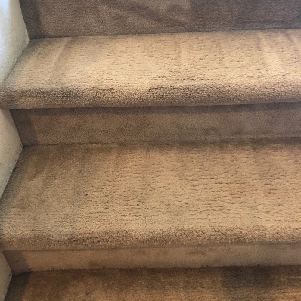 Pristine Cleaners - Nasty stairs = beautiful - Carpet Cleaning Near Me