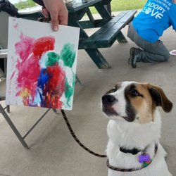 Pawsitive Dog - Pooch Painting