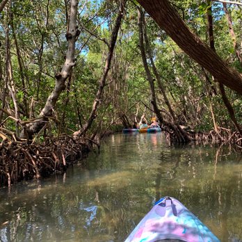 Almost Heaven Kayak Adventures - Rafting/Kayaking Near Me - Sarasota, Florida Almost Heaven Kayak Adventures - Rafting/Kayaking Near Me - Sarasota, Florida